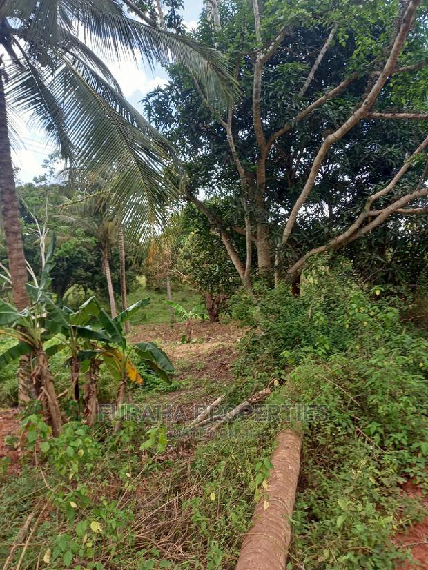 For Sale 6 Acre Agricultural Land Msambweni