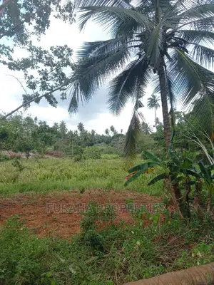 For Sale 6 Acre Agricultural Land Msambweni