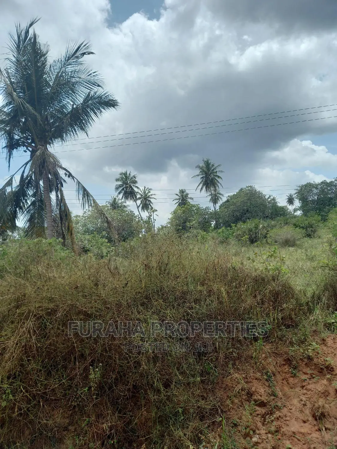 For Sale 6 Acre Agricultural Land Msambweni