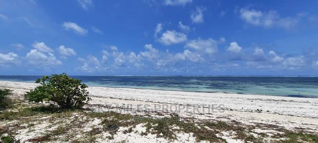 Sandy Beach Plot,A Parcel of 10 Acres on Sale. - thumbnail 3