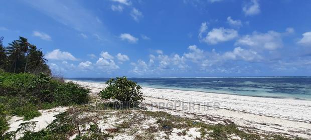 Sandy Beach Plot,A Parcel of 10 Acres on Sale. - thumbnail 4