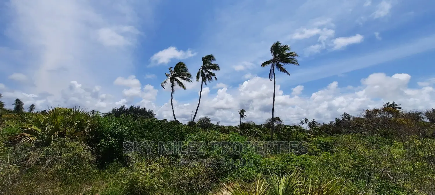 Sandy Beach Plot,A Parcel of 10 Acres on Sale.