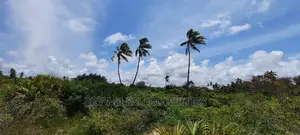 Sandy Beach Plot,A Parcel of 10 Acres on Sale.