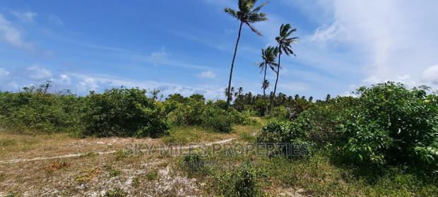 Sandy Beach Plot,A Parcel of 10 Acres on Sale. - thumbnail 16