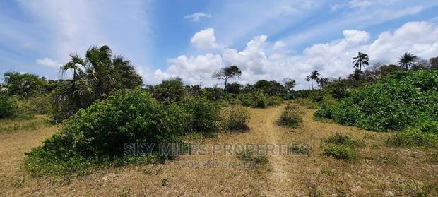 Sandy Beach Plot,A Parcel of 10 Acres on Sale. - thumbnail 19