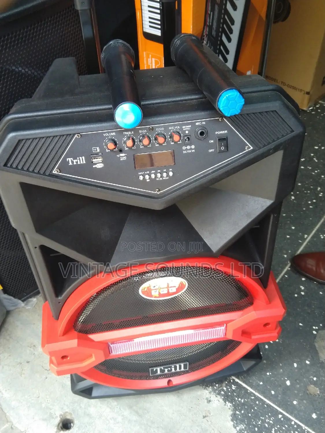 Powered Portable Speaker 15 Inches