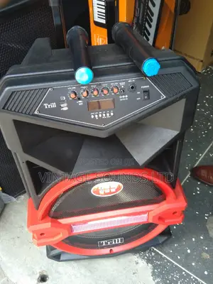 Powered Portable Speaker 15 Inches