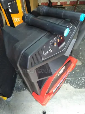 Powered Portable Speaker 15 Inches