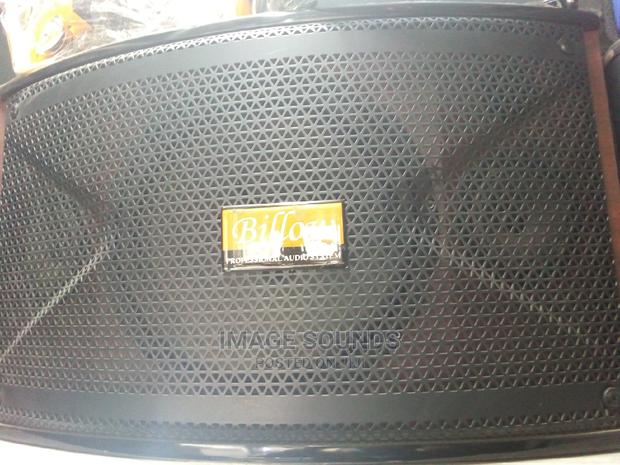 Professional Speaker-Billow 15" - main view