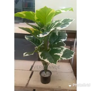 Artificial Flowers on Sale