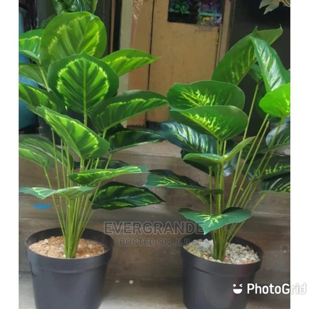 Flowers Flowers - main view