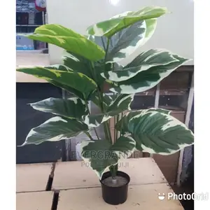 Long Leaves Artificial Flowers