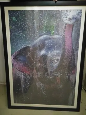 Frames Art A0 With Art