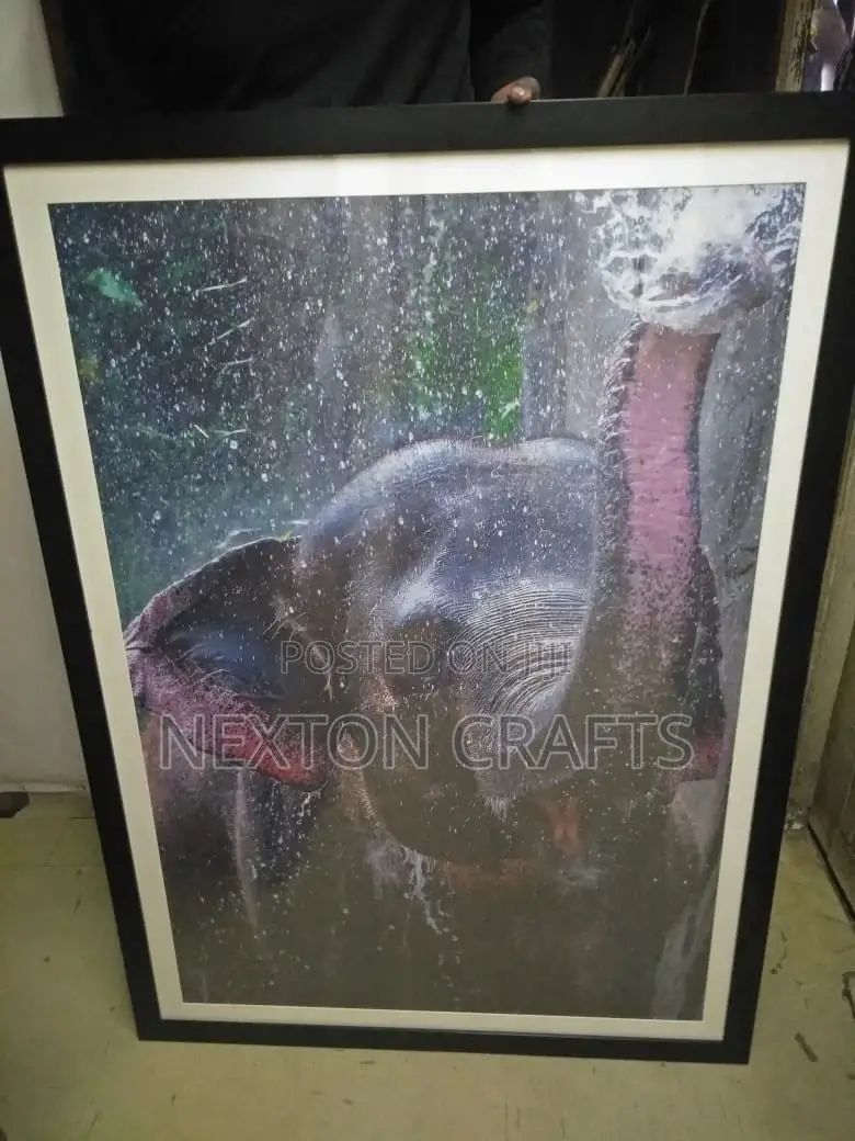 Frames Art A0 With Art