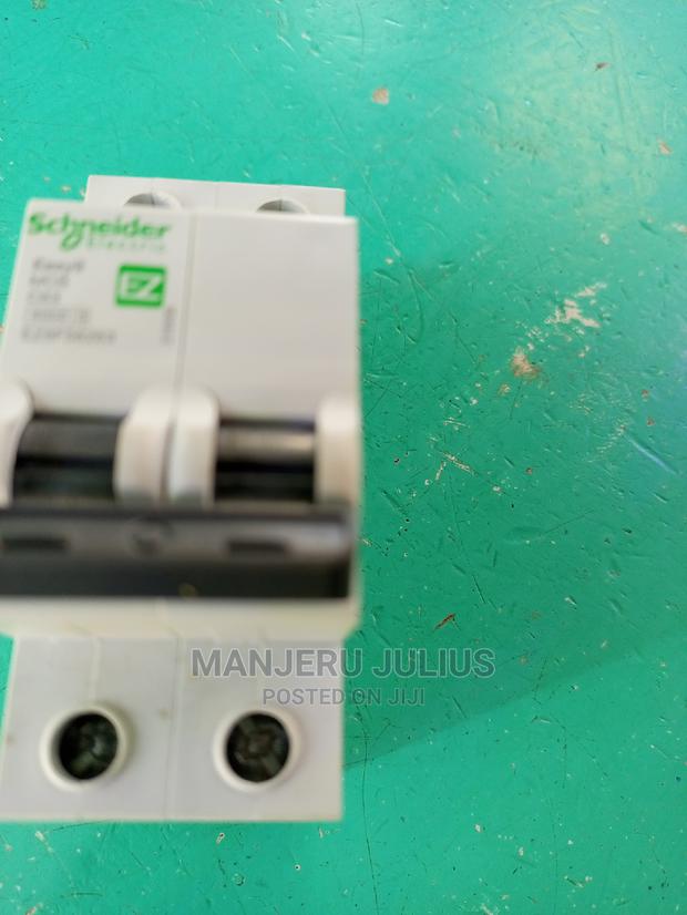 Schneider 63am Double Pole - thumbnail 4