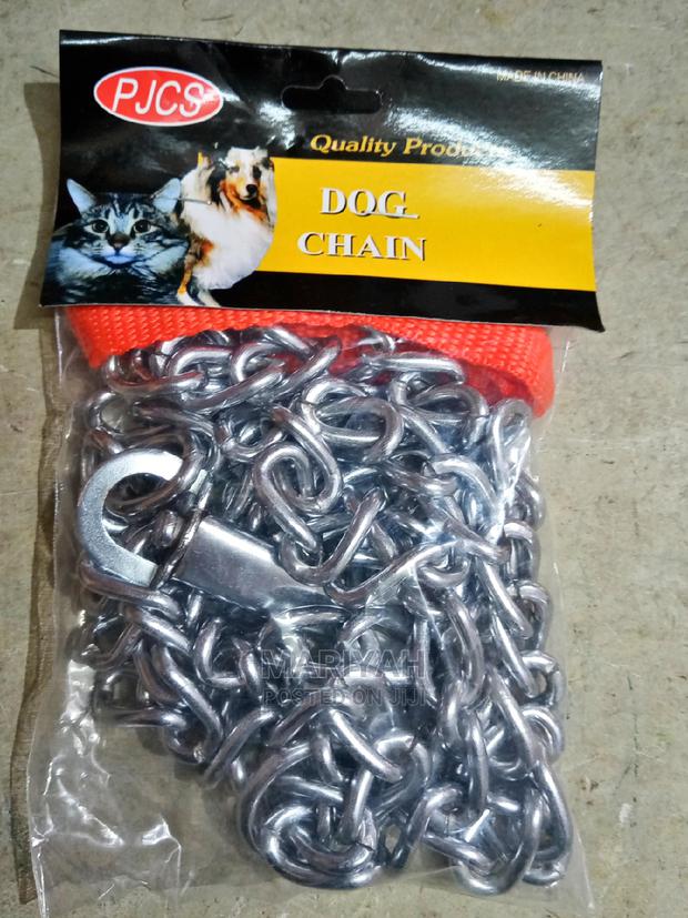 Dog Chain With Collar - thumbnail 3