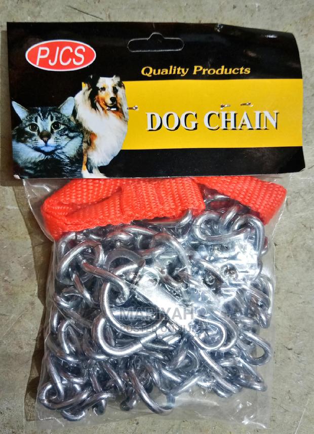 Dog Chain With Collar - main view