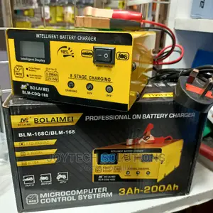 Intelligent Battery Charger