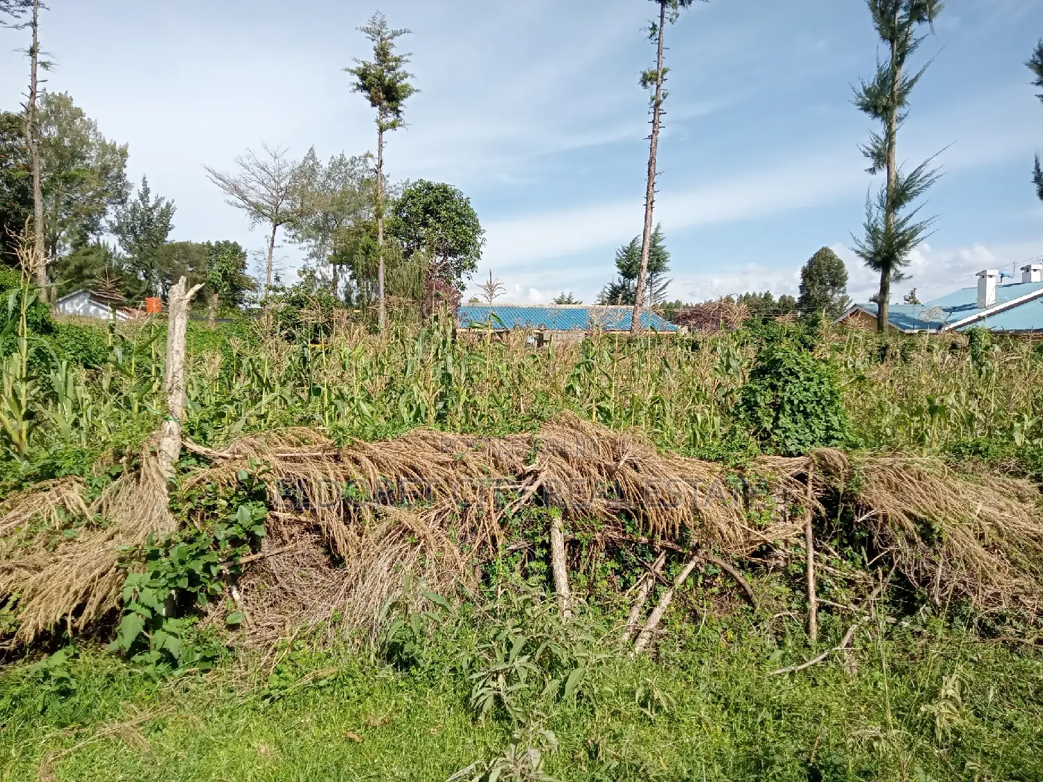 1/8 Plot Kapsoya Ideal for Rental