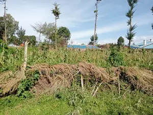 1/8 Plot Kapsoya Ideal for Rental