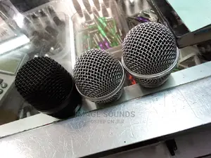 Microphone Head