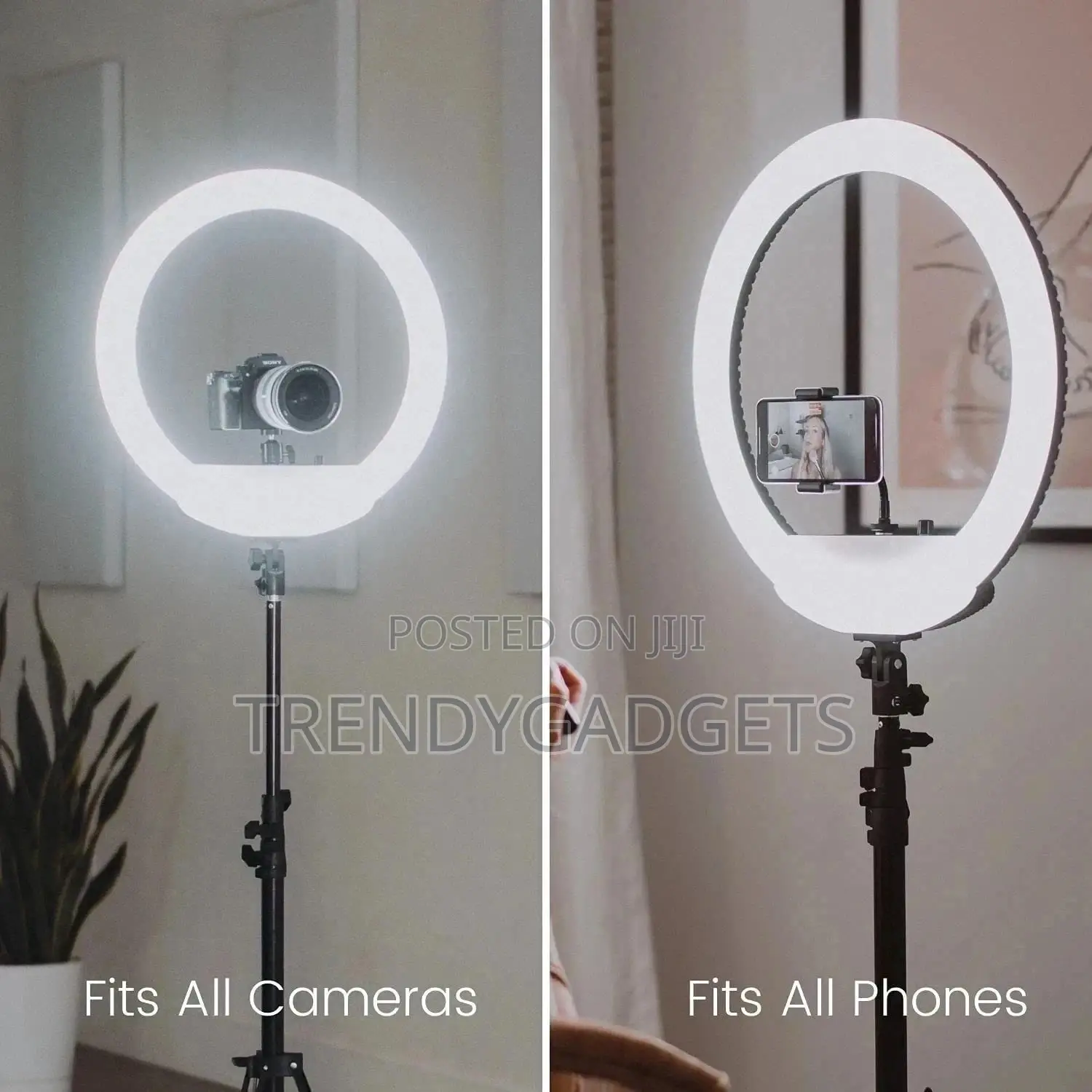 Brand New Generic 10 Inch LED Ring Light With Tripod Stand
