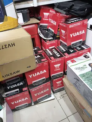 Yuasa NS40L Sealed Free Maintenance Battery
