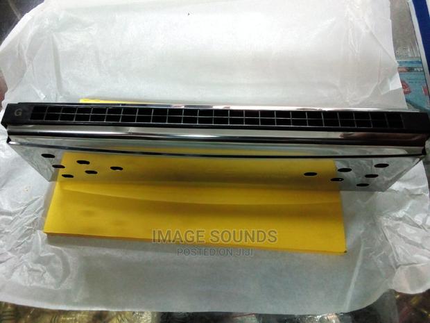 Harmonica-Double - thumbnail 4