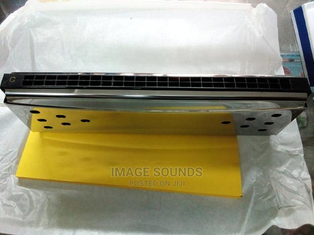 Harmonica-Double - thumbnail 5