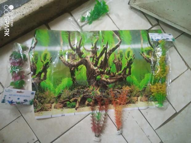 Background/Wall Paper - main view