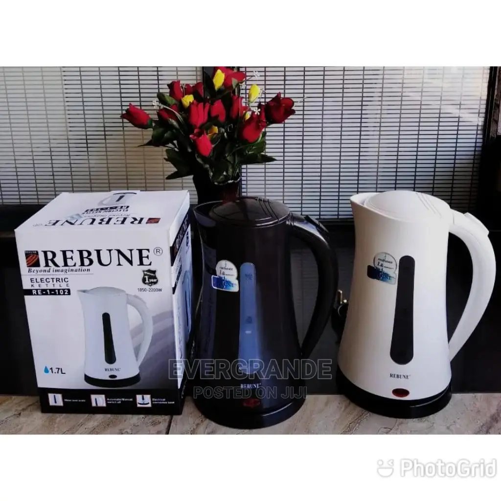 Rebune Electric Kettle