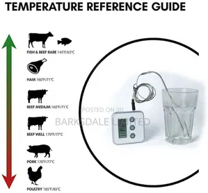 Probe Meat BBQ Thermometer Timer Instant Smoke Kitchen Alarm