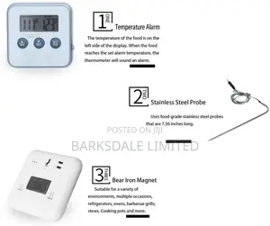 Probe Meat BBQ Thermometer Timer Instant Smoke Kitchen Alarm