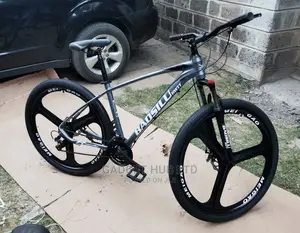 Mountain Bike 29 Inch Chrome Rims Shimano Shifter Gears