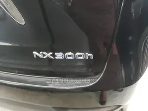 Lexus NX 2016 Matt Black