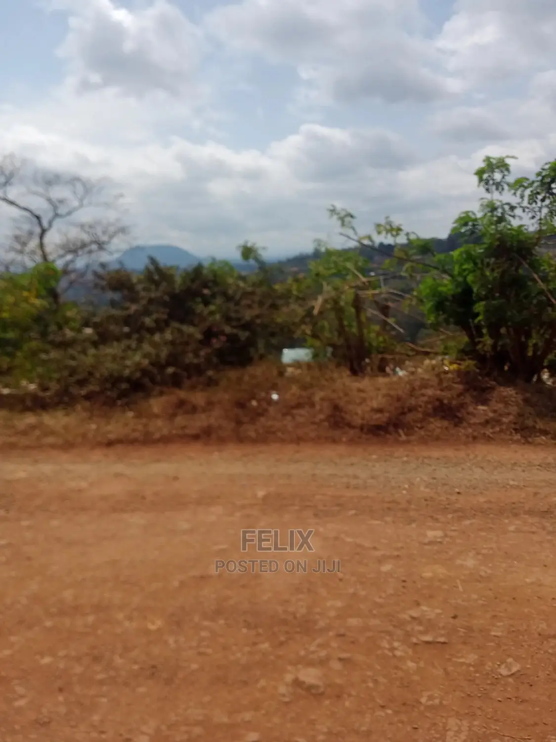 Nyeri/Kangemi.40/80 Plots