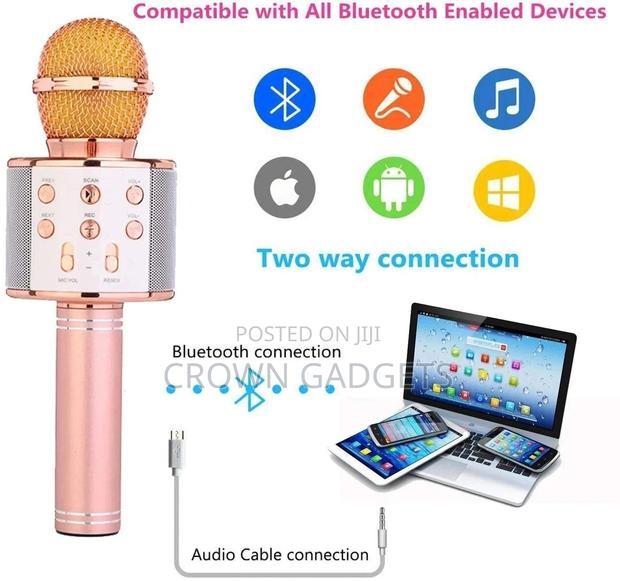 Generic WS-858 Portable Wireless Karaoke Mic - main view