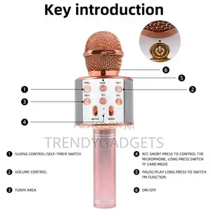 3 in 1 Multi-Function Handheld Wireless Karaoke