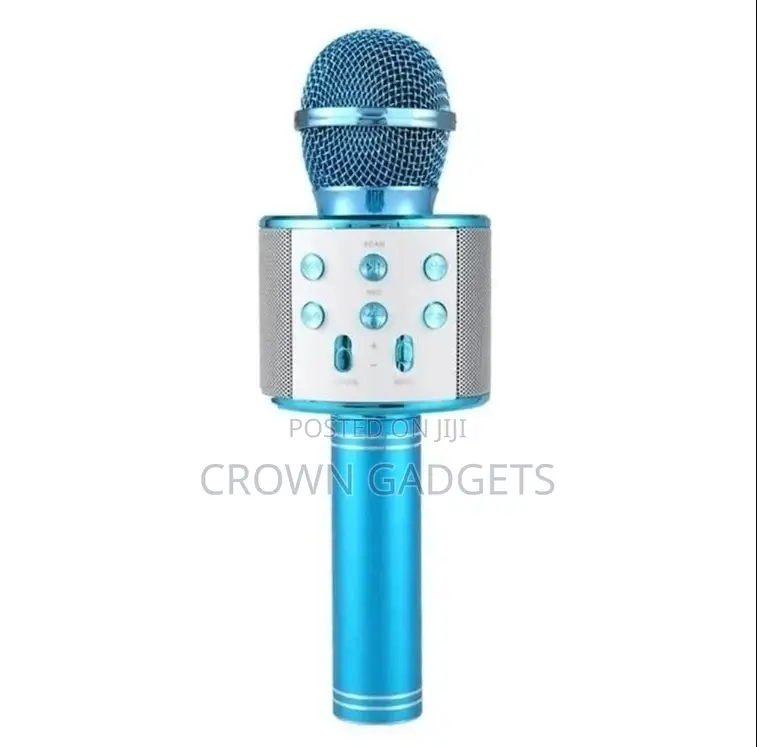Portable Speaker Handheld Microphone KTV