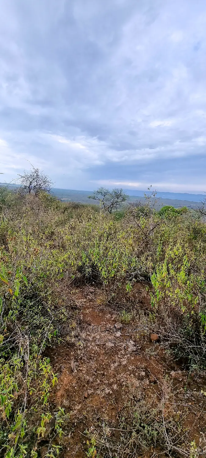 Prime 10 Acres Cliff Edge ,Lentoko,At 420k Per Acre