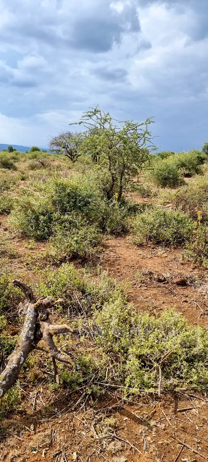 Prime 10 Acres Cliff Edge ,Lentoko,At 420k Per Acre