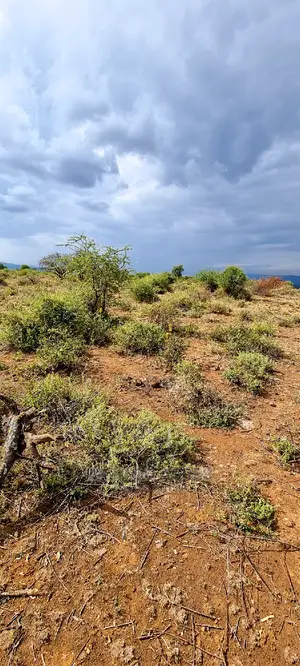 Prime 10 Acres Cliff Edge ,Lentoko,At 420k Per Acre