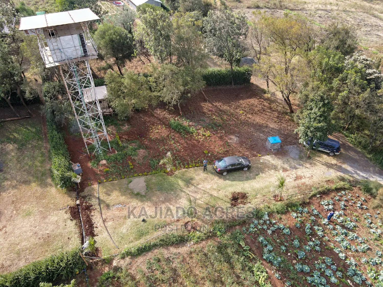 Scenic Prime 1/8 Kibiko(Lemiso) at 3.5m