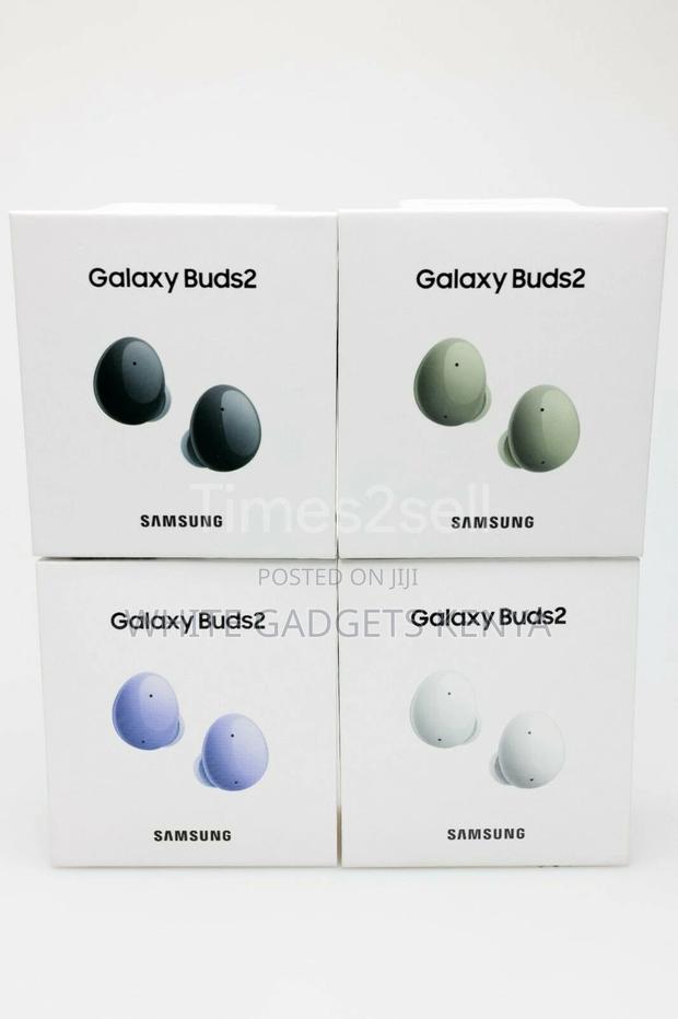 Samsung Galaxy Buds 2 - main view