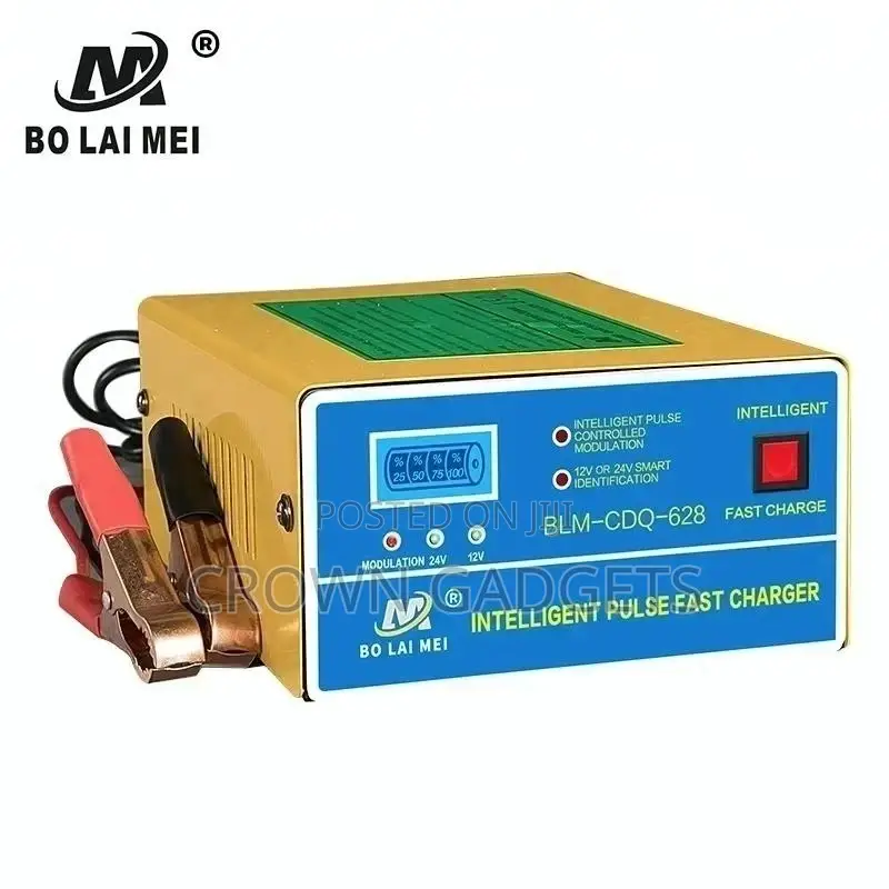 Auto Recognition Car Battery Fast Charger