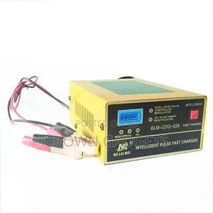 BLM-CDQ-866 12v/24v Car Fast Battery Charger