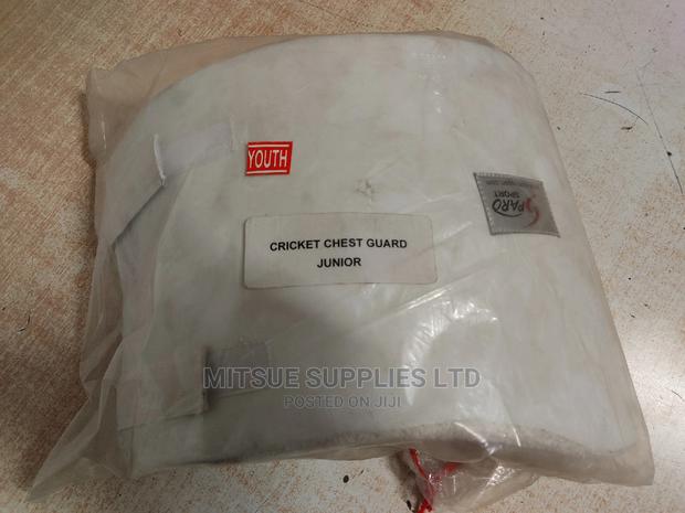 Cricket Chest Guard Junior/Youth
