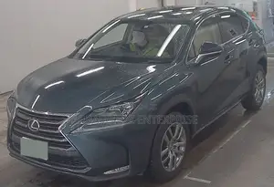 Lexus NX 2015 200t AWD Gray