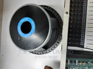 Ashly 10 Inch Naked Speaker