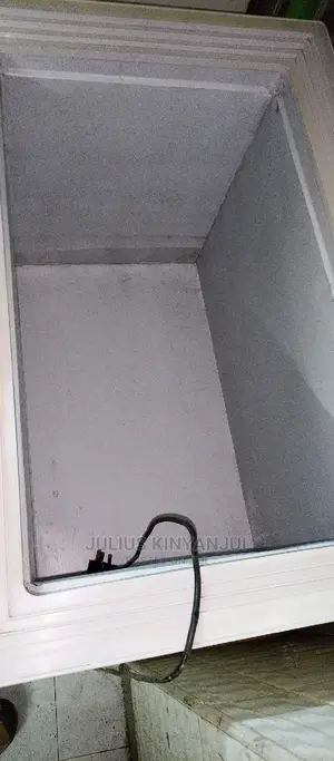 Deep Freezer 250L